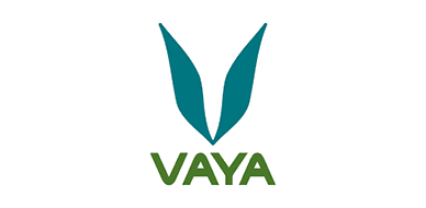 Vaya